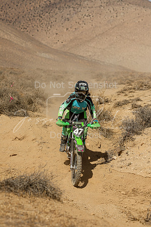 IMG_8878-47v