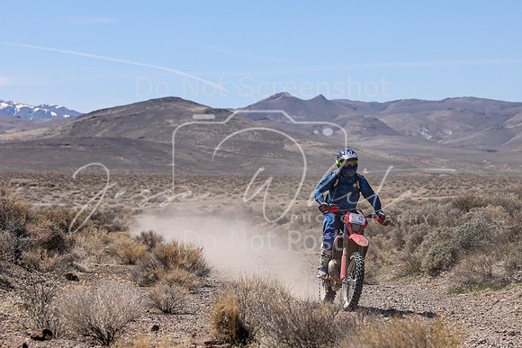 IMG_1460-517m