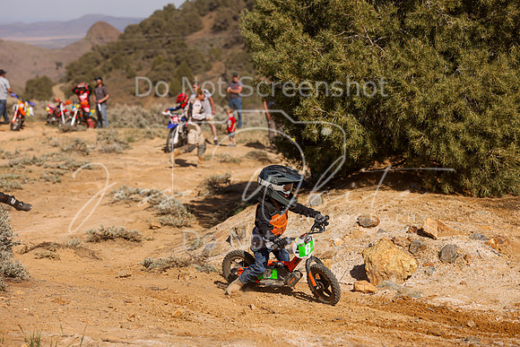 IMG_2136-8