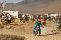 IMG_7930-528y