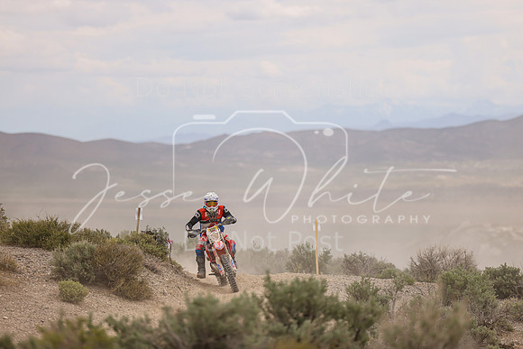 IMG_0619-359m
