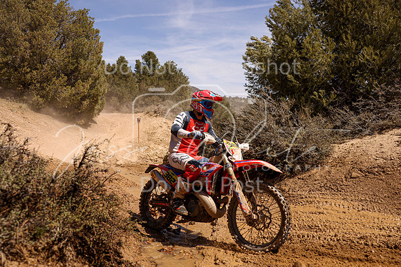IMG_1029-382