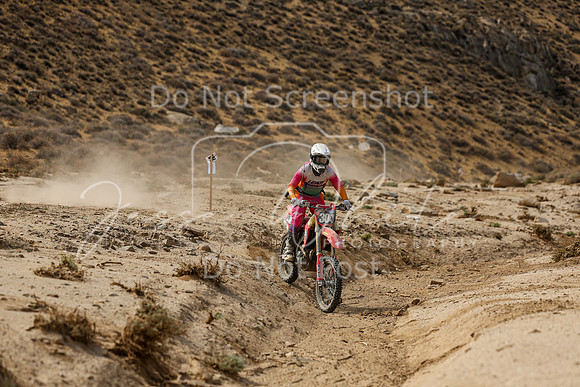 IMG_7380-304