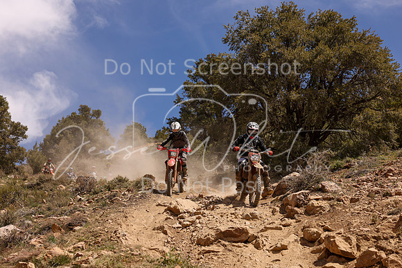 IMG_4966-110-295