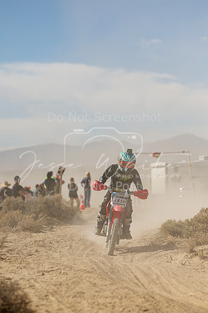 IMG_8014-385y