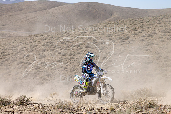 IMG_0724-681w