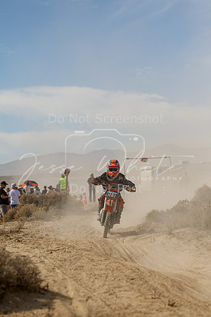 IMG_8068-505y