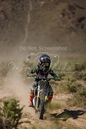 IMG_8075-41