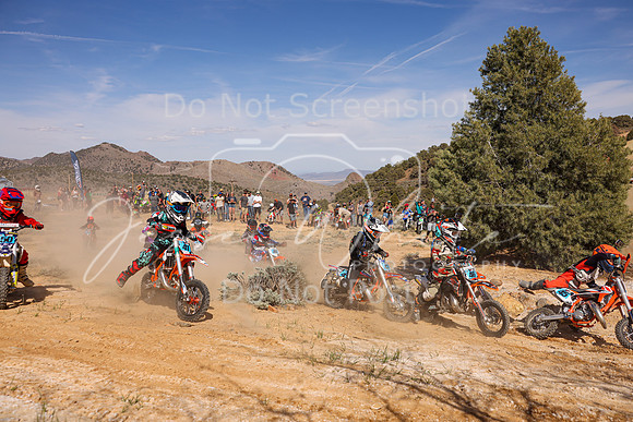 IMG_2104-41-43-46