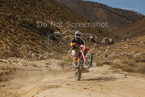 IMG_7296-650p