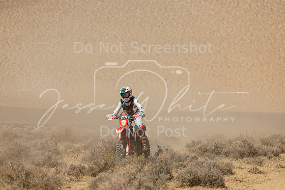 IMG_8554-111v