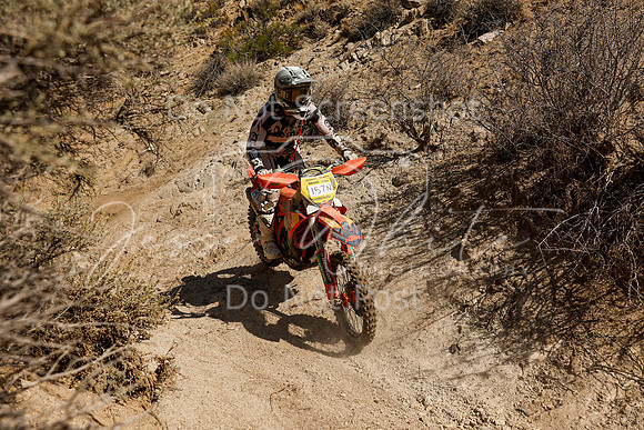 IMG_6248-157n