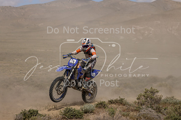 IMG_0115-751a