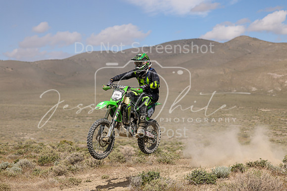IMG_9784-474n