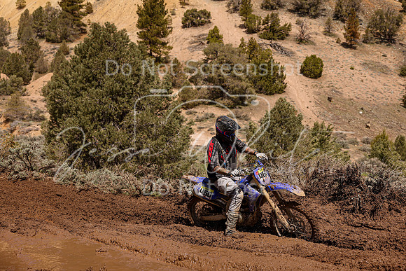 IMG_9815-460