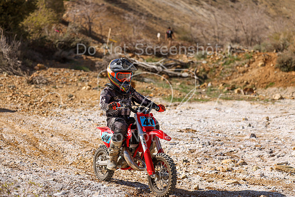 IMG_2187-44