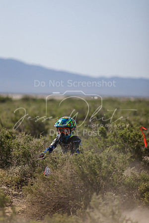 IMG_8202-