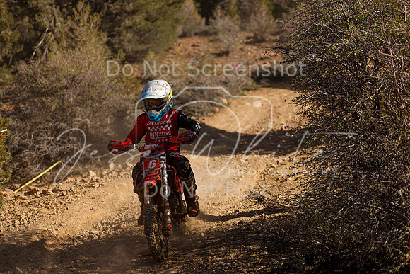 IMG_2766-6