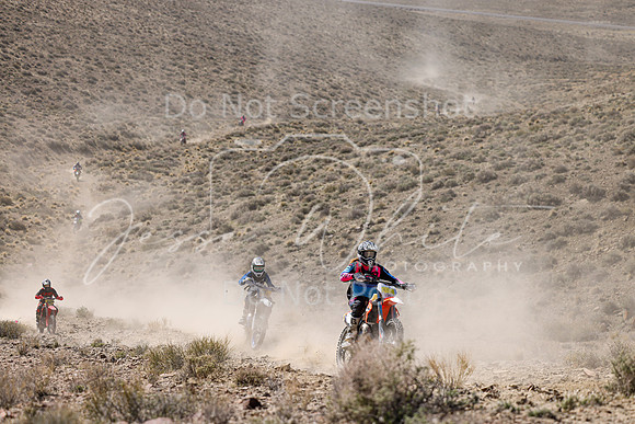 IMG_0708-85n