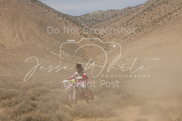 IMG_8414-18v
