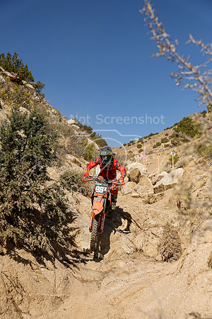 IMG_6337-88x