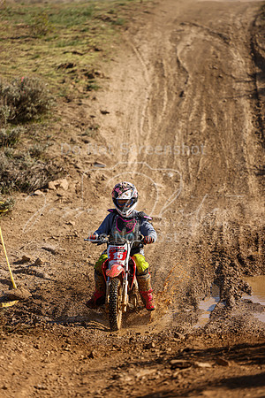 IMG_2803-15