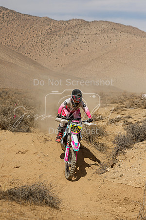 IMG_8741-18v