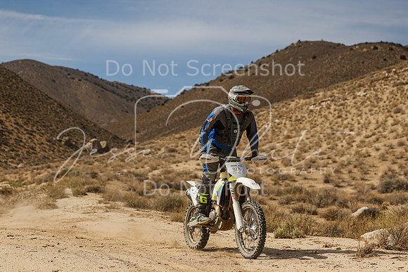 IMG_7261-313c
