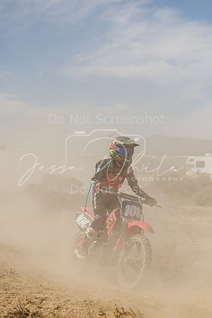 IMG_8033-101y