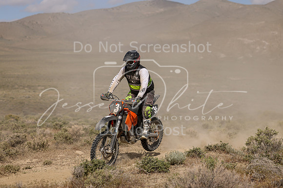 IMG_0079-3c