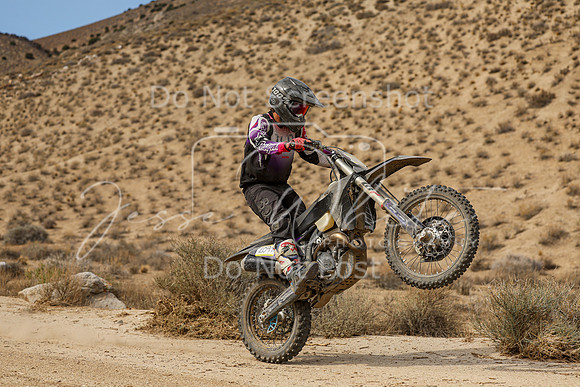 IMG_7414-209t