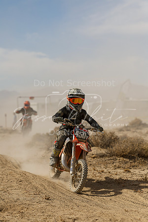 IMG_8066-450y