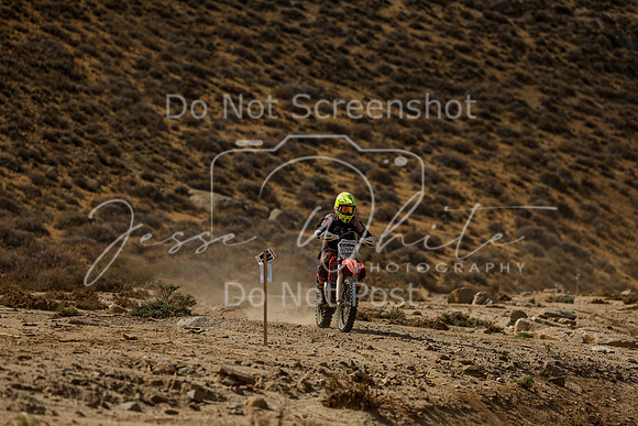 IMG_7322-474w