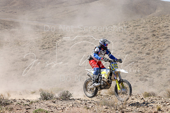 IMG_0732-94n