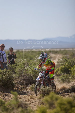 IMG_8348-104