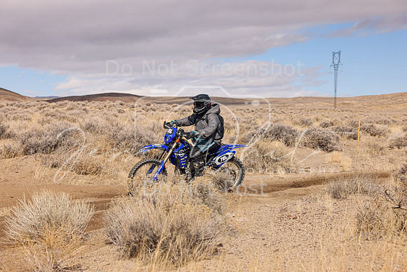 IMG_8893-718n