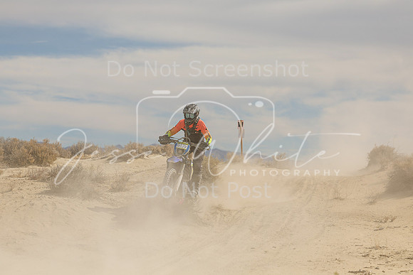 IMG_9018-513v