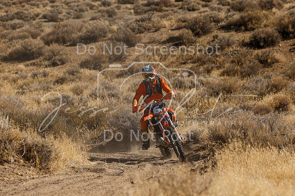 IMG_0499-6p
