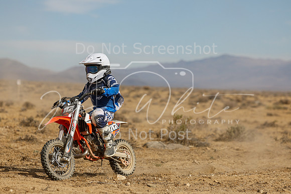 IMG_8198-717e