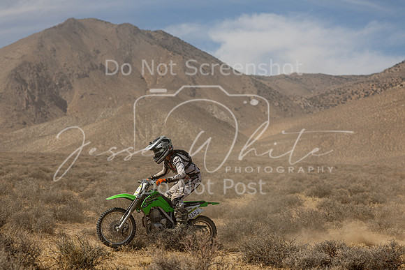 IMG_8428-124j