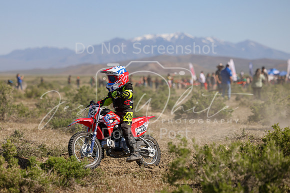IMG_7885-242f