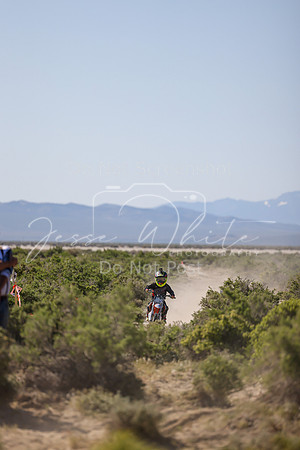 IMG_8296-5z