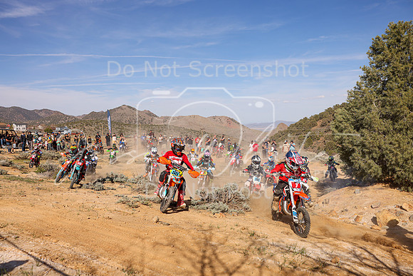 IMG_2526-7-55