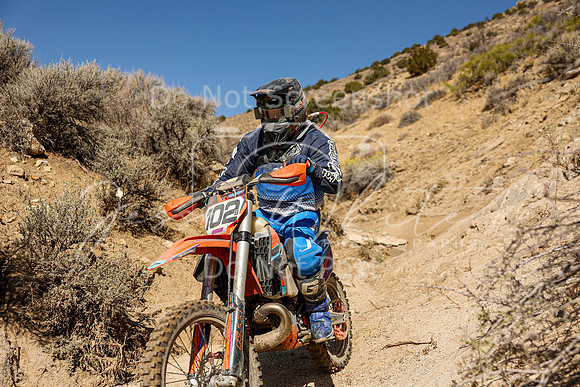 IMG_6278-102s
