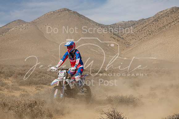 IMG_8474-59v