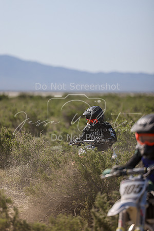 IMG_8210-33