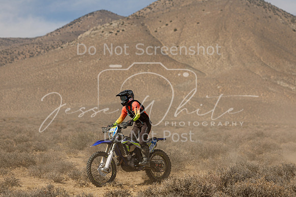IMG_8421-513v