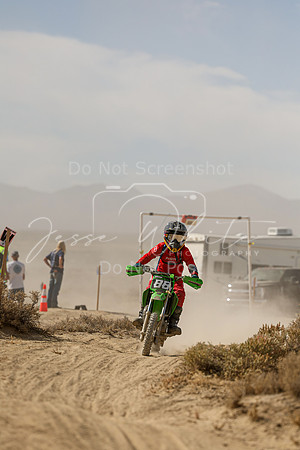 IMG_8041-88y