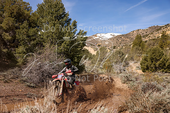IMG_8526-33