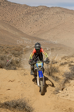 IMG_8749-513v
